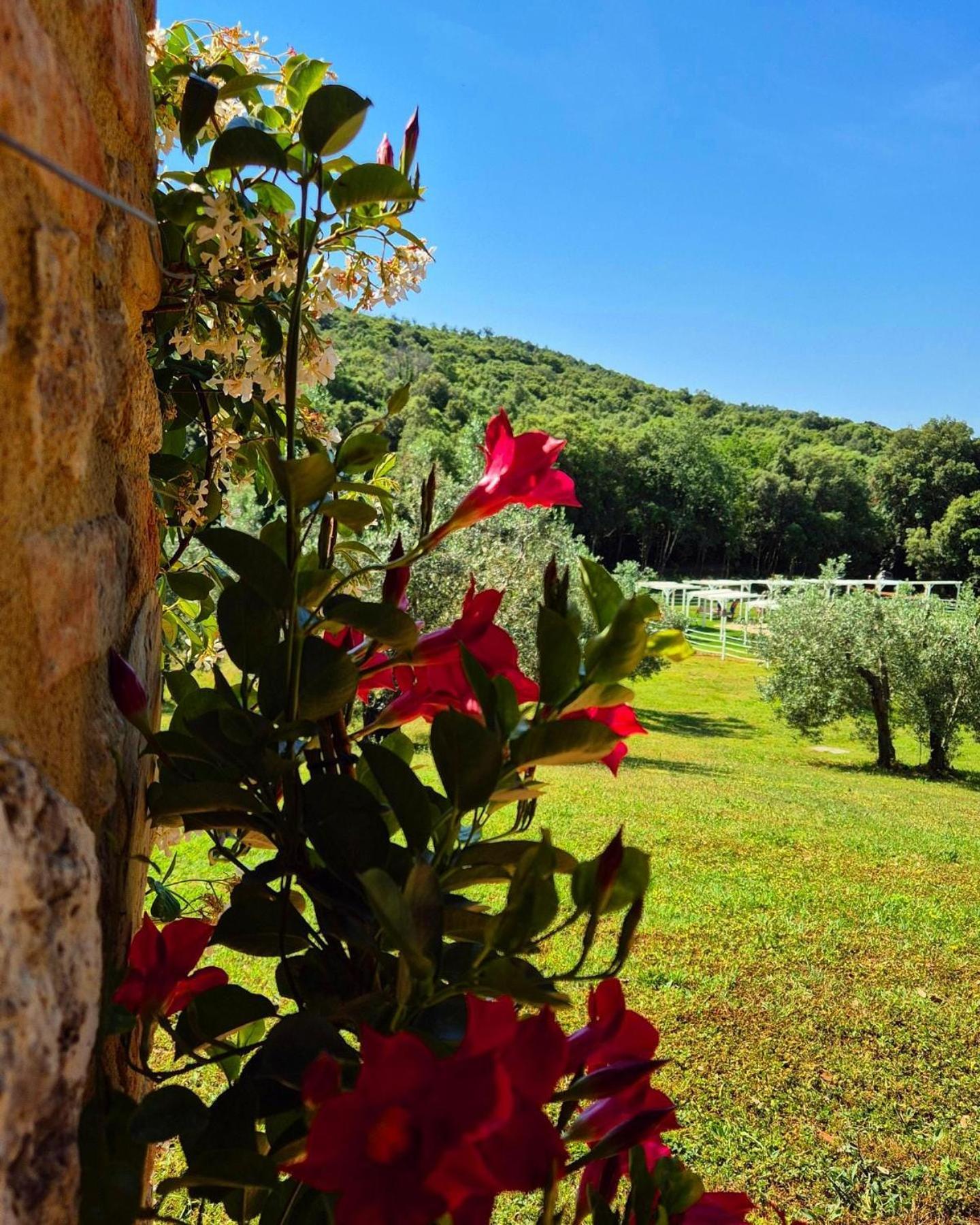 Tenuta Aronne Маса Маритима Екстериор снимка